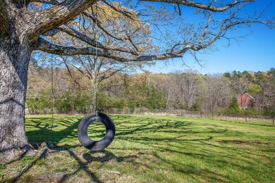 Back Yard_Tire Swing