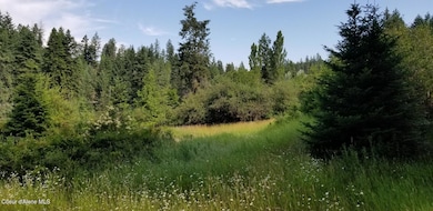 TBD E Sunnyside Rd, Coeur D'Alene, ID 83814 - photo 2