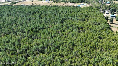 40 Acres N Old Highway 95, Athol, ID 83801 - photo 6