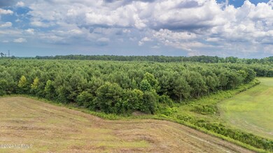 DJI_20240629153537_0051_D-HDR