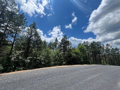 View of dirt / gravel road featuring a view of trees