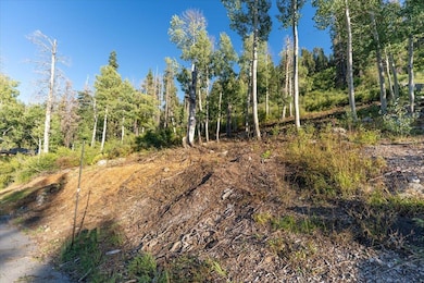 1037 Snow Crest Rd, Alpine Meadows, CA 96146 - photo 7