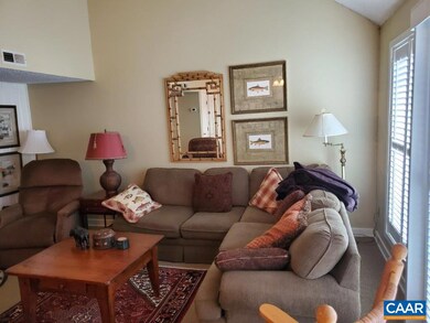 439 Three Ridges, Wintergreen Resort, VA 22967 - photo 4