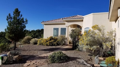 4520 N Swan St, Silver City, NM 88061 - photo 3