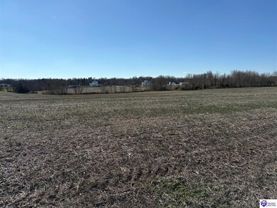 250 Owl Creek Dr, Vine Grove, KY 40175 - photo 7