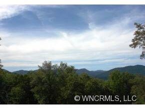 000 Moores Valley Ln, Leicester, NC 28748 - photo 2