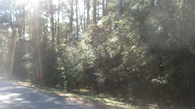 Lot 25 Lazy Hollow, Hockley, TX 77447 - photo 6