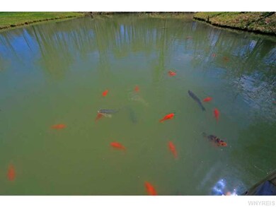 Waterfront/Dock/Pier. Koi, channel cats and grass 