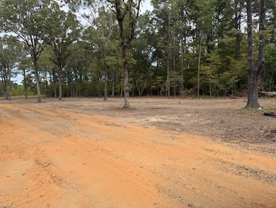 TBD Hwy 53, Bradley, AR 71861 - photo 3