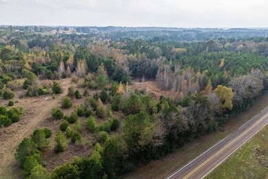 S Fm 228 unit TX, Grapeland, TX 75844 - photo 7