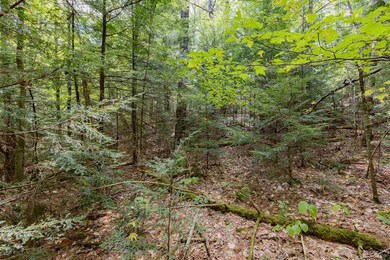 Lot 2 N Wilmot Rd, Wilmot, NH 03257 - photo 2