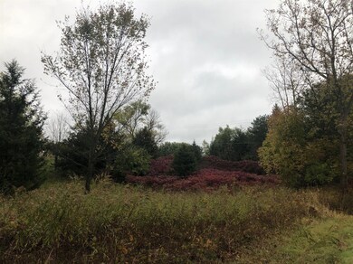 0 Dexter Townhall unit 23035000, Dexter, MI 48130 - photo 6