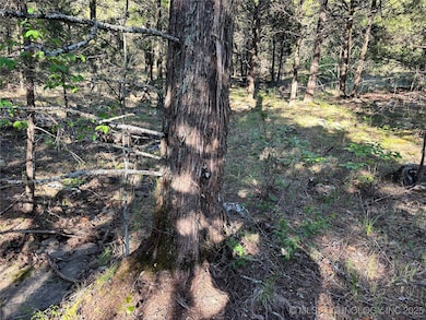 100752 S 4497 Rd, Vian, OK 74962 - photo 5