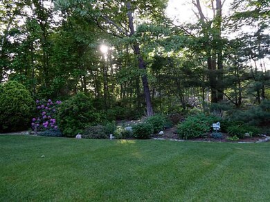 Exterior Back. backyard shrub and flower garden