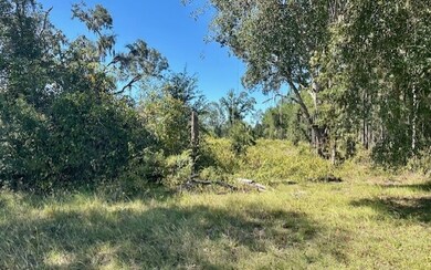 0 NE 35th Ave unit 129202, Bronson, FL 32621 - photo 4