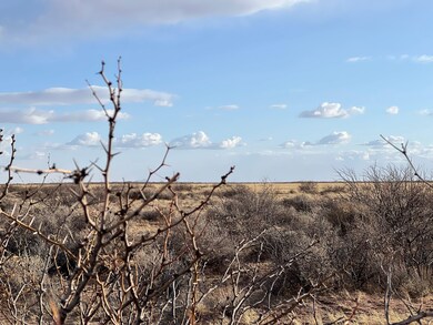 Bahia Rd, Deming, NM 88030 - photo 4