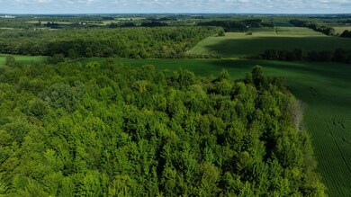 Lot 5 280th St, Glenwood City, WI 54013 - photo 7