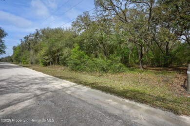 23-web-or-mls-M7309251
