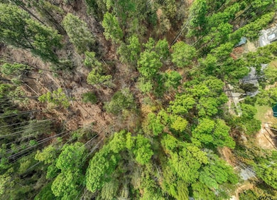 0 Pintail Dr, Flint, TX 75762 - photo 4