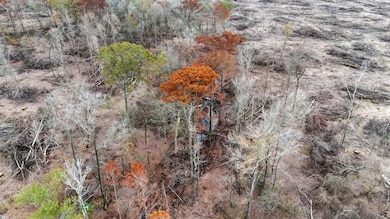 0 Big Creek Rd, Rison, AR 71665 - photo 4