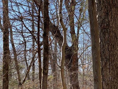 375 Riverwalk Trail, Pittsboro, NC 27312 - photo 4