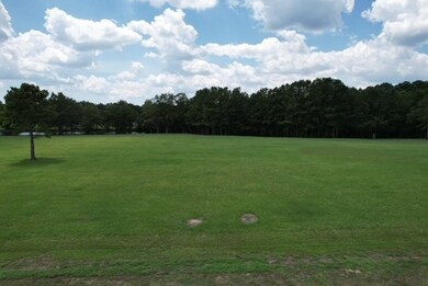 1441 Bojo Cir unit Lot 29, Manning, SC 29102 - photo 4