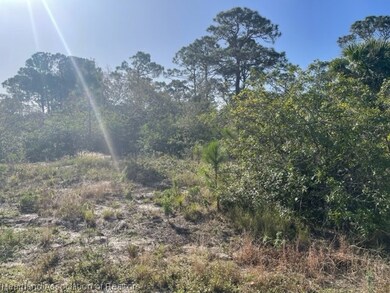 239 Jack Weisser Blvd, Lake Placid, FL 33852 - photo 5