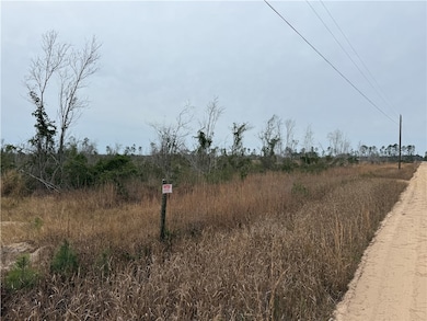 9.22 Rhine Rd, Alma, GA 31510 - photo 2