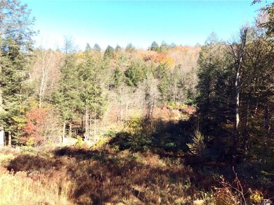 16 Trail Ridge Rd, Albrightsville, PA 18210 - photo 5