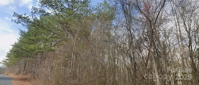 0 Pine Tree Place, Franklin, NC 28144 - photo 2