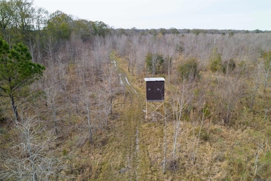 7474 Lemon Rd, Slaughter, LA 70777 - photo 6