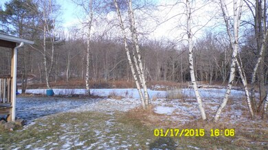 182 Lake Quinn Rd, Waymart, PA 18472 - photo 3