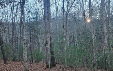 Additional View
