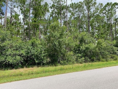 0 Joe Jeff St, North Port, FL 34286 - photo 4