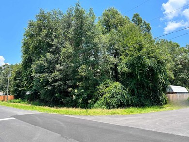 0 Concord Rd unit 361729, Crawfordville, FL 32327 - photo 5