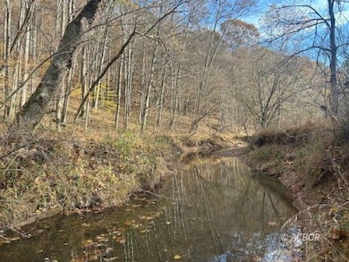 Creek on Property
