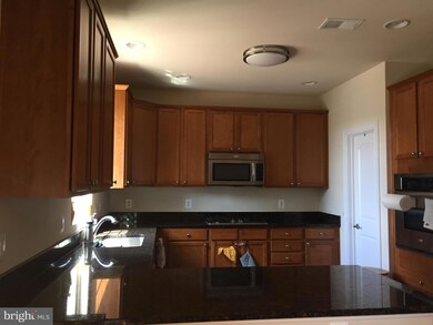 22217 Falling Terrace, Ashburn, VA 20148 - photo 6