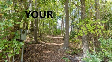 TM26G-29 Black Stump Rd, Weems, VA 22576 - photo 4