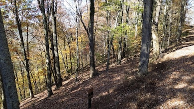 0 Savannah Dr unit RTC3042742, Smithville, TN 37166 - photo 2