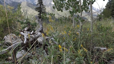 View of local wilderness featuring a mountain view