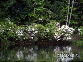 Spring, early summer