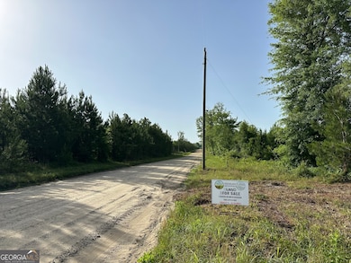 01 Pine Hill Church Rd, Waynesboro, GA 30830 - photo 2