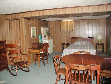 Lower Level bedroom