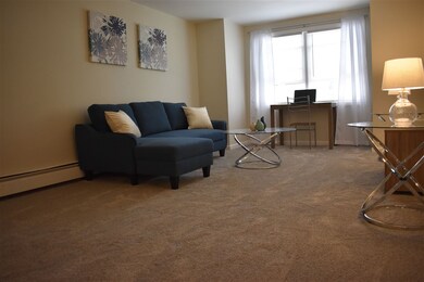 37 Alice Dr unit 79, Concord, NH 03303 - photo 3