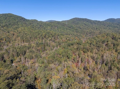 3298 Buffalo Creek Rd, Lake Lure, NC 28746 - photo 6