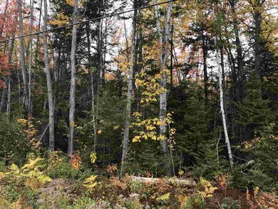 0 Fish Pond Rd unit Lot 19 4781163, Colebrook, NH 03576 - photo 5