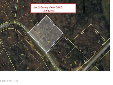 302 Caney View (W Dock) Dr, Harriman, TN 37748 - photo 3