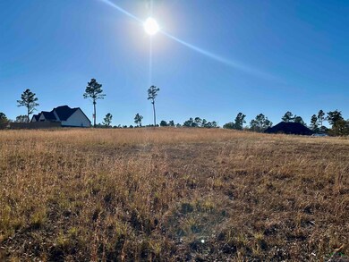 178 Eagle Creek Dr, Diana, TX 75640 - photo 3