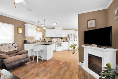 5716 Cairo-Hickory Grove Rd, Corydon, KY 42406 - photo 6