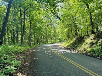 Tree canopy
